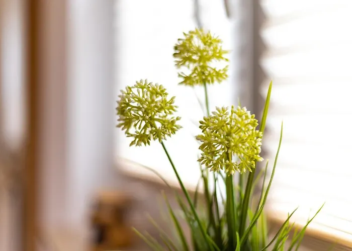 Ferienhaus-eschede *